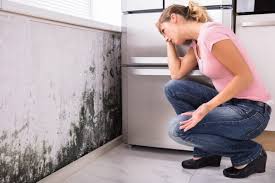 Mold Removal for HVAC Installations